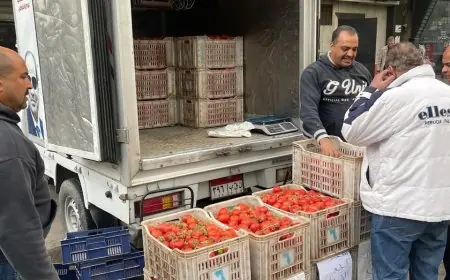 سيارات متنقلة من التموين لتوزيع الطماطم بأسعار مخفضة قبيل عيد الفطر