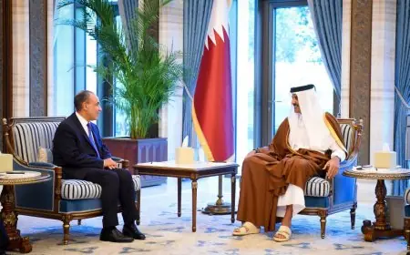 وزير الخارجية يقدم رسالة دعم وتضامن كامل من مصر إلى أمير قطر