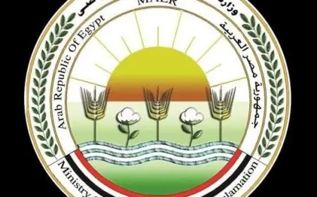 الزراعة تتابع التحضيرات المبكرة لموسم زراعة القطن في كفر الشيخ