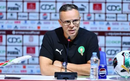 المغرب يواجه الإكوادور في مباراة ودية استعداداً لكأس العالم 2026