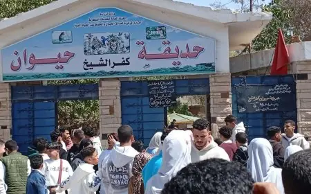 67 ألف زائر يستمتعون بحدائق الحيوان والأسماك في بداية عيد الفطر