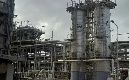 التنمية المحلية تعلن اكتمال الربط الإلكتروني لمنظومة الرصد الذاتي لمداخن شركة إيلاب في الإسكندرية