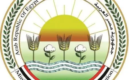 استعداد مبكر ومكثف لزراعة القطن في كفر الشيخ تحت متابعة الزراعة