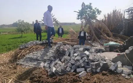 وزارة الزراعة تكثف جهودها لحماية الأراضي الزراعية من التعديات في ثاني أيام عيد الفطر بالمحافظات