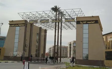 محافظ الوادي الجديد تحيل رئيس حي للخارجية للتحقيق بسبب تدني مستوى النظافة العامة