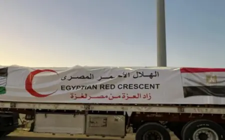 قافلة زاد العزة الـ 162 تصل إلى الفلسطينيين في غزة