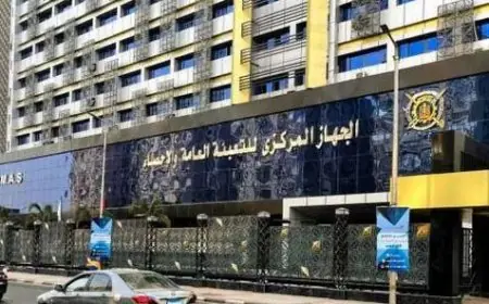 مصر تقفز 36 مركزًا في المؤشر العالمي لتغير المناخ وفقًا للإحصاءات