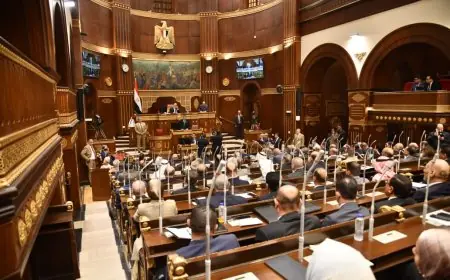 أهمية توطين المحاصيل الاستراتيجية لحماية الأمن الغذائي بحسب لجنة زراعة الشيوخ