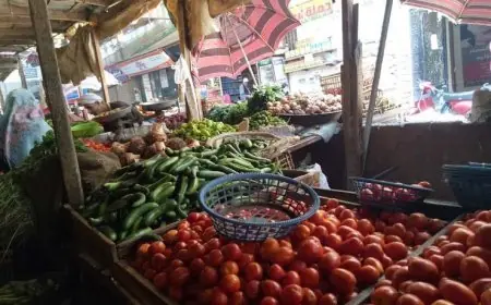 أسعار الخضروات والفاكهة اليوم الثلاثاء 24 مارس 2026: الطماطم تصل إلى 50 جنيها