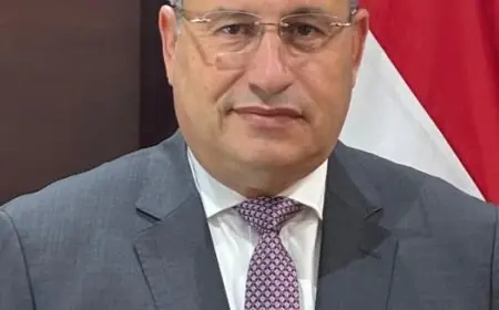 التعليم العالي يطلق نظام حوافز جديد للباحثين وأعضاء هيئة التدريس ويدعم الأبحاث التطبيقية بإنشاء صندوق تمويل مخصص