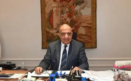 وزارة الكهرباء تعزز تدابير الاستعداد لضمان أمان واستقرار الشبكة الكهربائية الموحدة