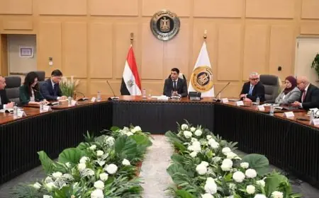 وزير الصناعة يناقش تعزيز التعاون الصناعي مع مجموعة باوو الصينية للحديد والصلب