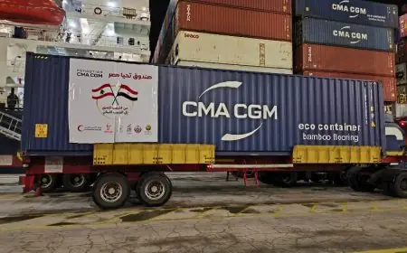 الخارجية المصرية ترسل ألف طن من المساعدات الإغاثية الطارئة لدعم لبنان