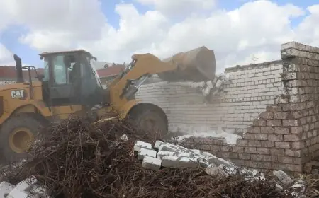 إزالة 384 حالة تعدي على الأراضي الزراعية من قبل وزارة الزراعة خلال إجازة العيد