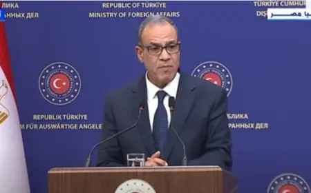 وزير الخارجية يعلن عن محادثات دولية لوقف التوغل الإسرائيلي في جنوب لبنان