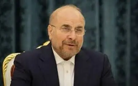 رئيس البرلمان الإيراني يكشف عن تقارير استخباراتية حول خطط الأعداء لغزو جزيرة إيرانية