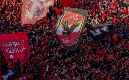 الأهلي يبدأ التصحيح بإقالة 3 لجان مع توقع المزيد قريباً