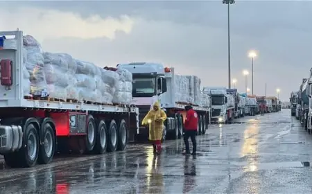 الهلال الأحمر يرسل 2000 خيمة ومستلزمات إغاثية إلى غزة ضمن قافلة زاد العزة الـ 164