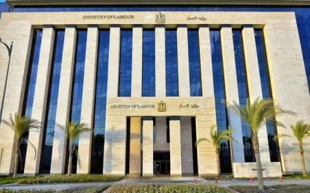 العمل تحرر 203 محاضر لمخالفات معايير السلامة والصحة المهنية