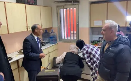 مصر ملتزمة بدعم لبنان لتخطي الأزمة الحالية يؤكد وزير الخارجية