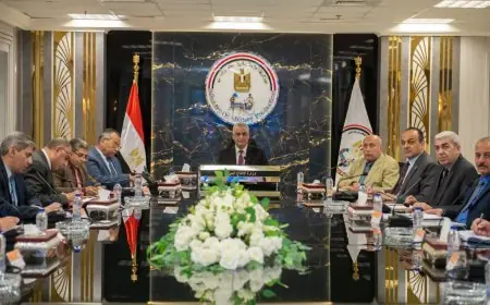 وزير الإنتاج الحربي يعلن عن لجنة متخصصة لترشيد استهلاك الكهرباء في الشركات التابعة للوزارة