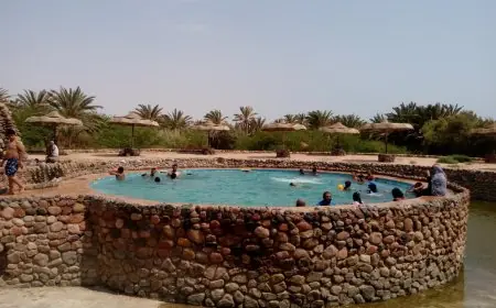 أسامة حمدي يؤكد: تعرف على سبب انخفاض تكلفة الخدمات الطبية في مصر مقارنة بالعالم