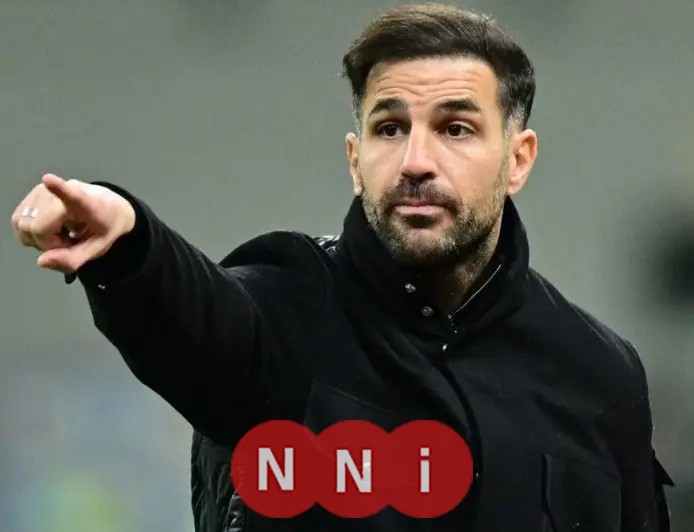 هل يصبح سيسك فابريغاس المدرب الجديد لريال مدريد في الموسم المقبل