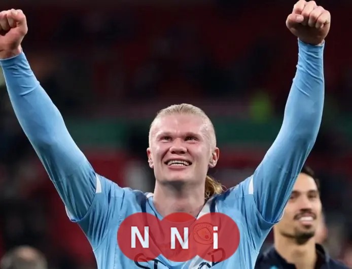 هالاند ينقل مهاراته من الملاعب إلى حماية تاريخ الفايكينغز