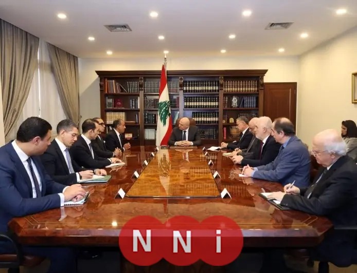 وزير الخارجية يعزز دعم مصر للبنان خلال لقائه مع الرئيس اللبناني