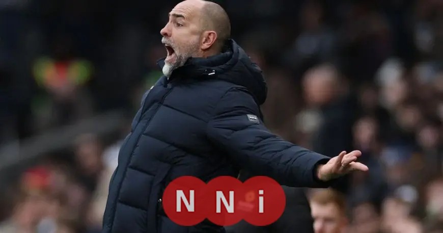 مدرب توتنهام ينفجر غضباً ضد فولهام بعد اتهام خيمينيز بالغش