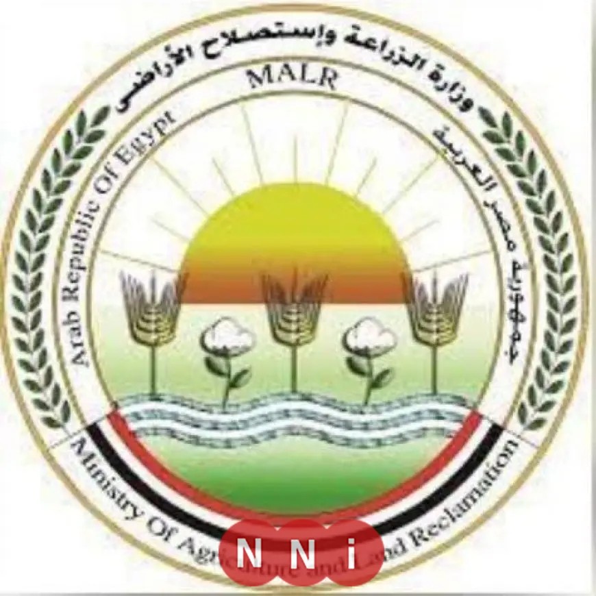 وزارة الزراعة تكشف عن نتائج مثمرة لفحص وتصدير البطاطس في فبراير