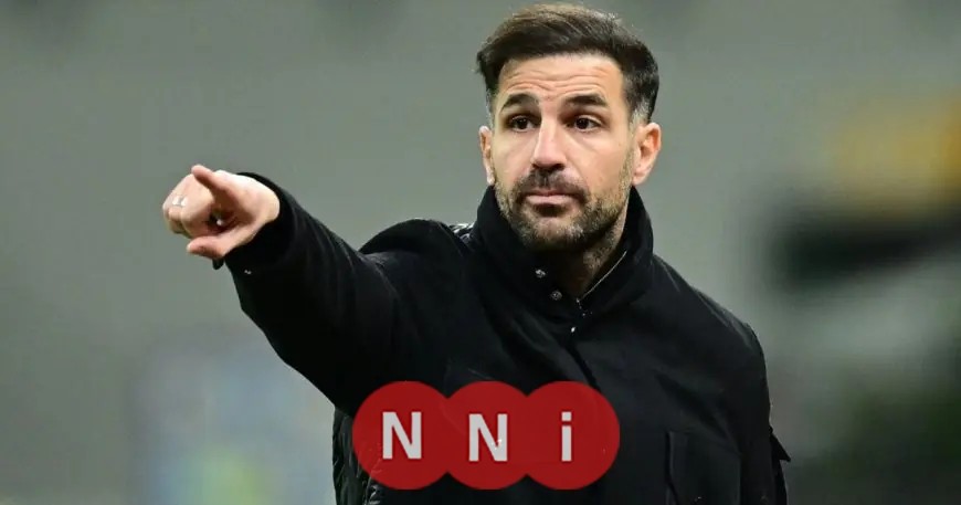 هل يصبح سيسك فابريغاس المدرب الجديد لريال مدريد في الموسم المقبل