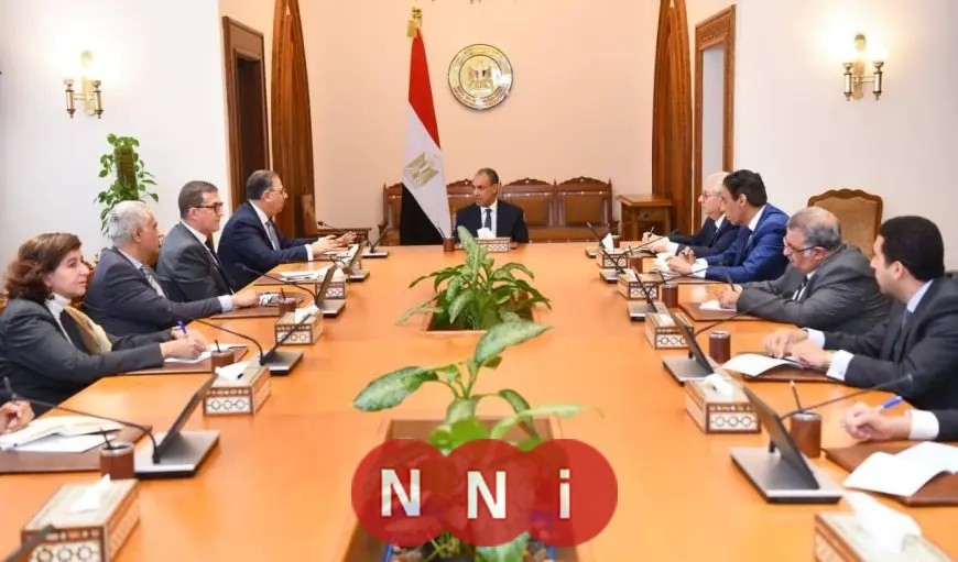 وزير الخارجية يعزز جهود متابعة أحوال المصريين في الخارج وتسهيل الخدمات القنصلية