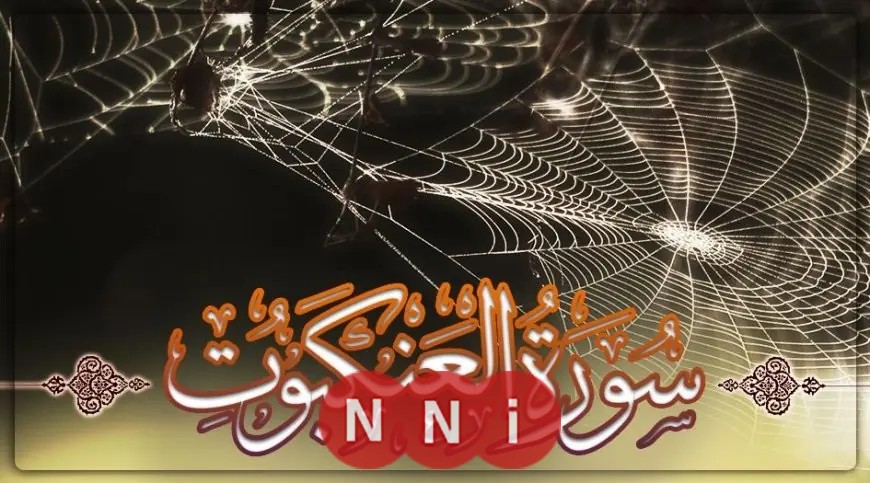 تعلم الطريقة المثلى لمحاورة أهل الكتاب من سورة العنكبوت مع عالم أزهري