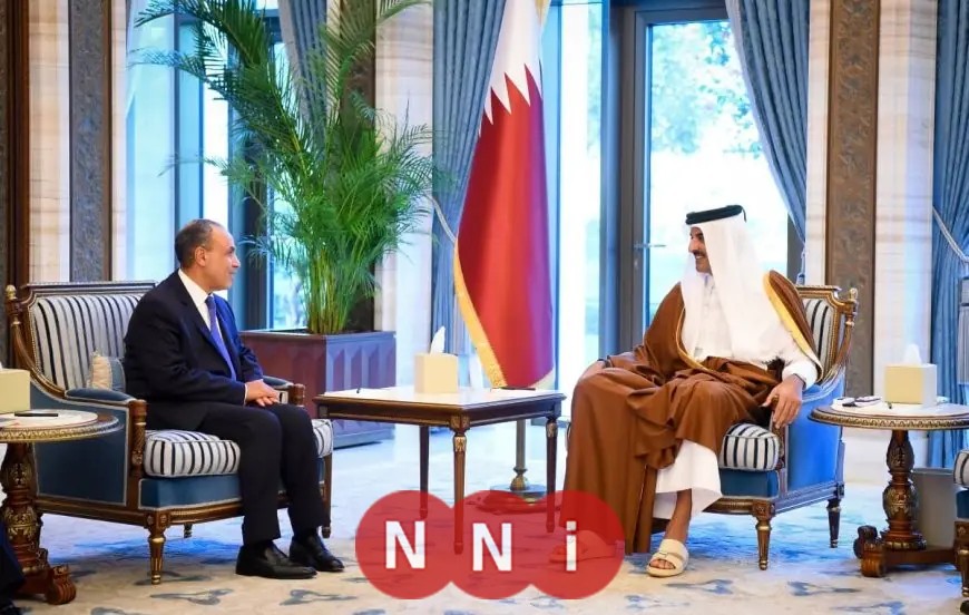 وزير الخارجية يقدم رسالة دعم وتضامن كامل من مصر إلى أمير قطر