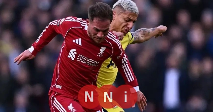 توتنهام يوقف انتصار ليفربول بهدف قاتل لريتشارليسون