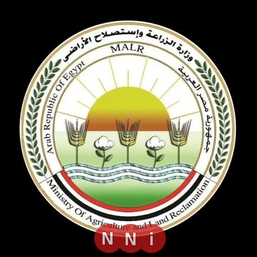 الزراعة تتابع التحضيرات المبكرة لموسم زراعة القطن في كفر الشيخ