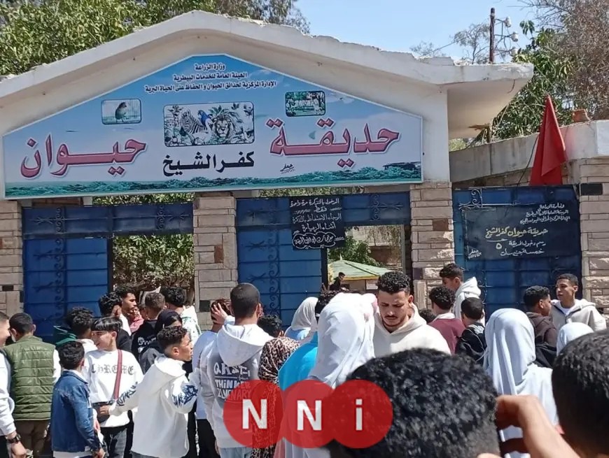 67 ألف زائر يستمتعون بحدائق الحيوان والأسماك في بداية عيد الفطر