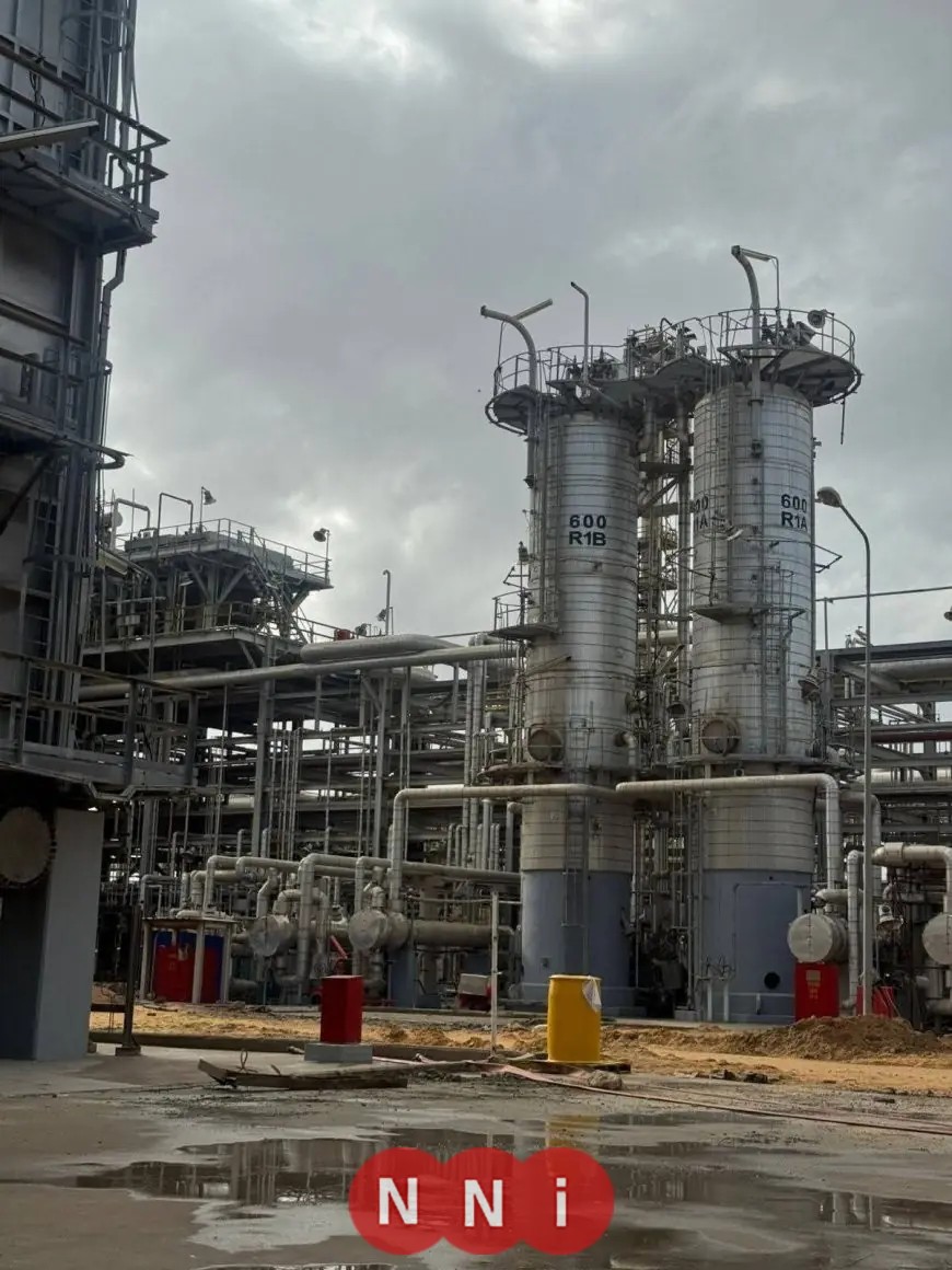 التنمية المحلية تعلن اكتمال الربط الإلكتروني لمنظومة الرصد الذاتي لمداخن شركة إيلاب في الإسكندرية