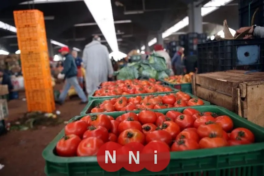انخفاض مرتقب في أسعار الطماطم: الكيلو يصل إلى 25 جنيه في الأيام القليلة المقبلة