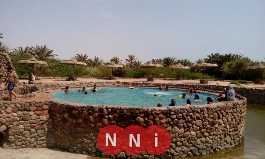 أسامة حمدي يؤكد: تعرف على سبب انخفاض تكلفة الخدمات الطبية في مصر مقارنة بالعالم