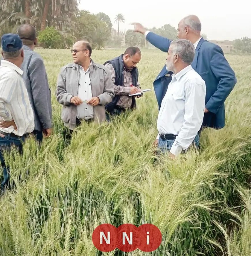 الزراعة تكثف دعمها الفني والإرشادي لمزارعي أسوان وتواصل متابعة المحاصيل الاستراتيجية