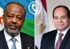 اتصال هام بين الرئيس السيسي ورئيس جيبوتي إسماعيل عمر جيلة يكشف تفاصيل جديدة