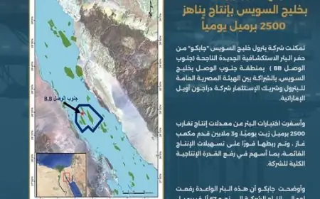 نجاح حفر بئر جديدة في خليج السويس بإنتاج قياسي يصل إلى 2500 برميل يومياً باستخدام أحدث التقنيات الاستكشافية