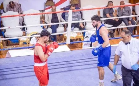 اليوم انطلاق نصف نهائي بطولة الجمهورية للملاكمة للرجال