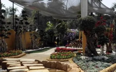 التقنيات الحديثة تسهم في تقليل التكلفة بنسبة 70% وتعزز من نمو الصادرات بفضل جهود وزارة الزراعة