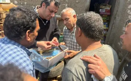 القبض على أسماك مدخنة و رنجة مجهولة المصدر ومشتبه بصلاحيتها للاستهلاك الآدمي في الغربية