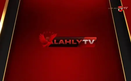 المجلس الأعلى للإعلام يستدعي الممثل القانوني لقناة الأهلي لفحص المحتوى الإعلامي