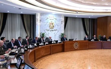 تعرف على 13 قرارا مهما أصدرها مجلس الوزراء في الاجتماع الأسبوعي للحكومة