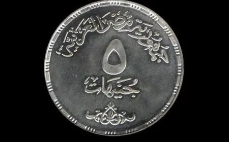 الحكومة المصرية تكشف حقيقة طرح عملة 5 جنيهات معدنية